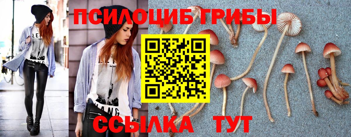 Галлюциногенные грибы MAGIC MUSHROOMS Кувандык
