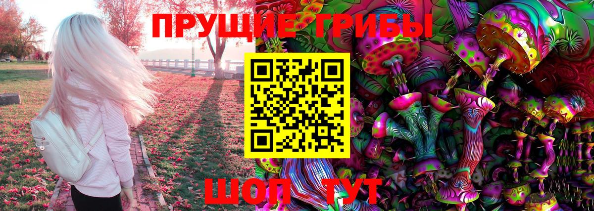 Галлюциногенные грибы MAGIC MUSHROOMS  Вход с VPN  Кувандык 